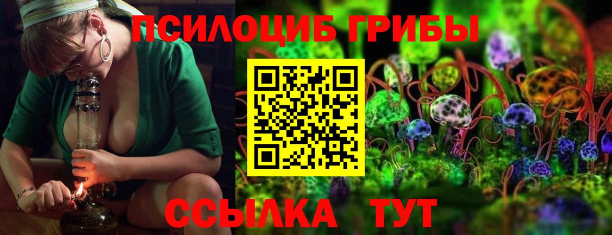 Галлюциногенные грибы Psilocybe  Ипатово  Псилоцибиновые грибы Psilocybe 